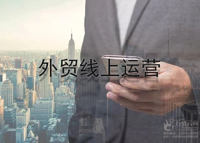 外贸企业海外网络整合营销该怎么去做？